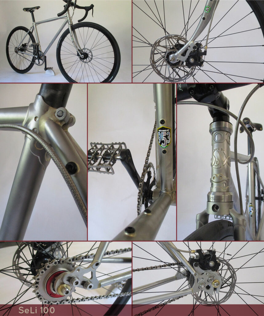 Details zu Edelstahlbike SeLi100